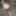 June 2025