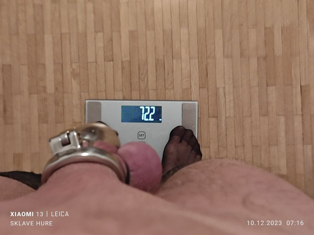 Mandatory weighing cagecheck plugcheck December 10, 2023