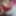mi galeria #15