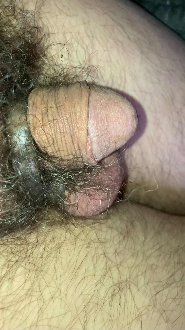 More of my Cute Littlr Dick #4