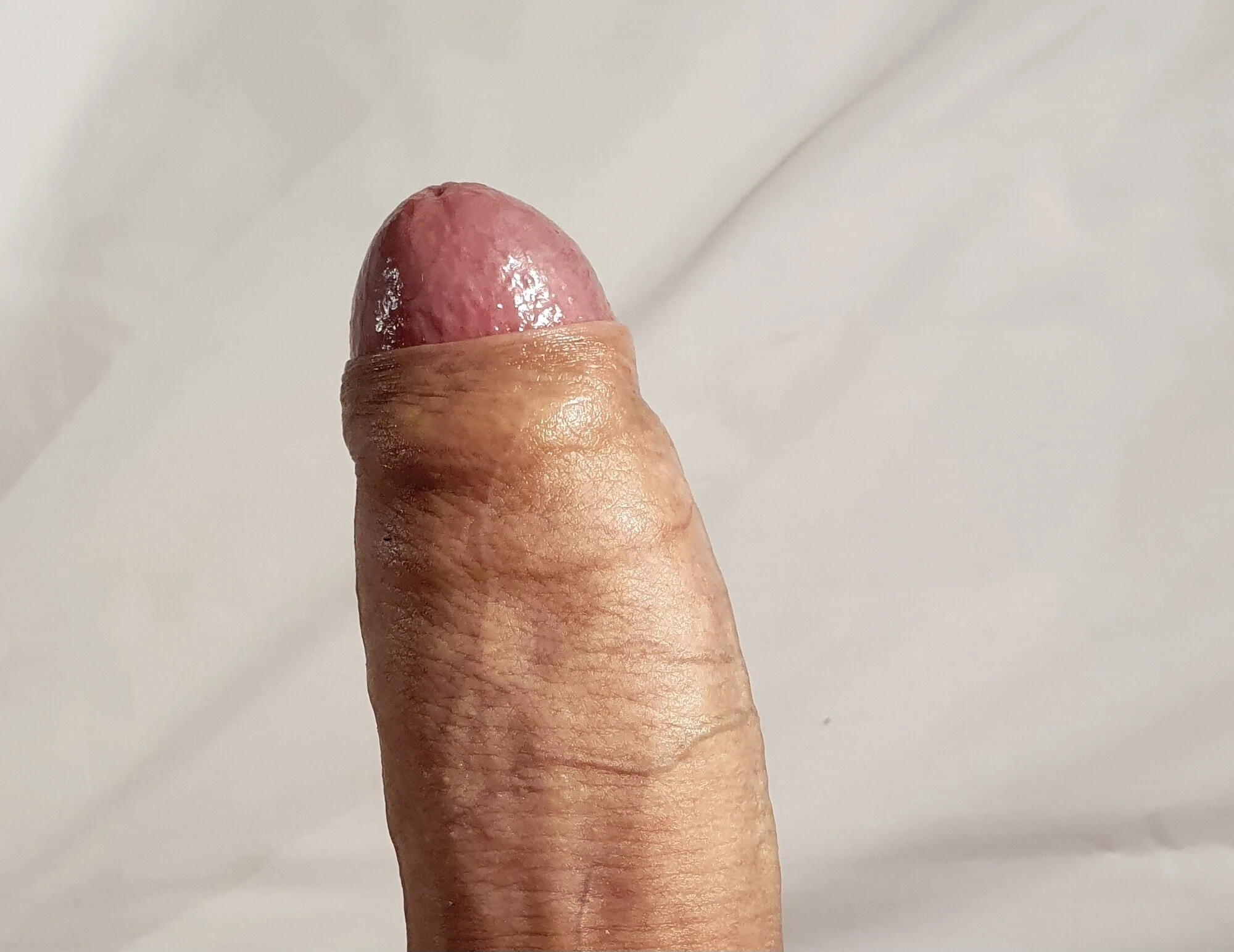 Dick 