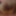 close up penis