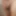 mandatory weighing and cagecheck of April 24, 2023 #3