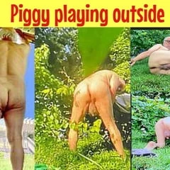 Piggy