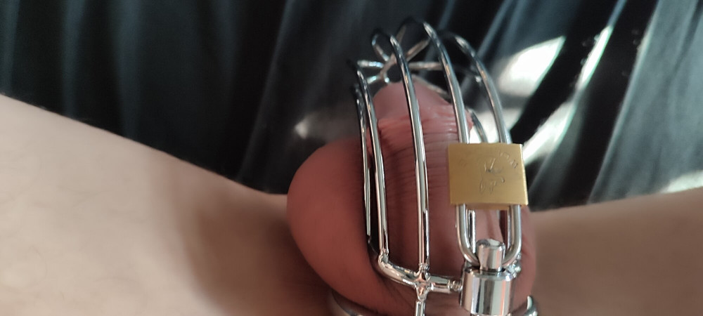 Mein eingesperrter Minipimmel #4