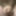Micro penis, photos