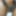Asian black cock, boy black panis, indian panis, kala lanf #17
