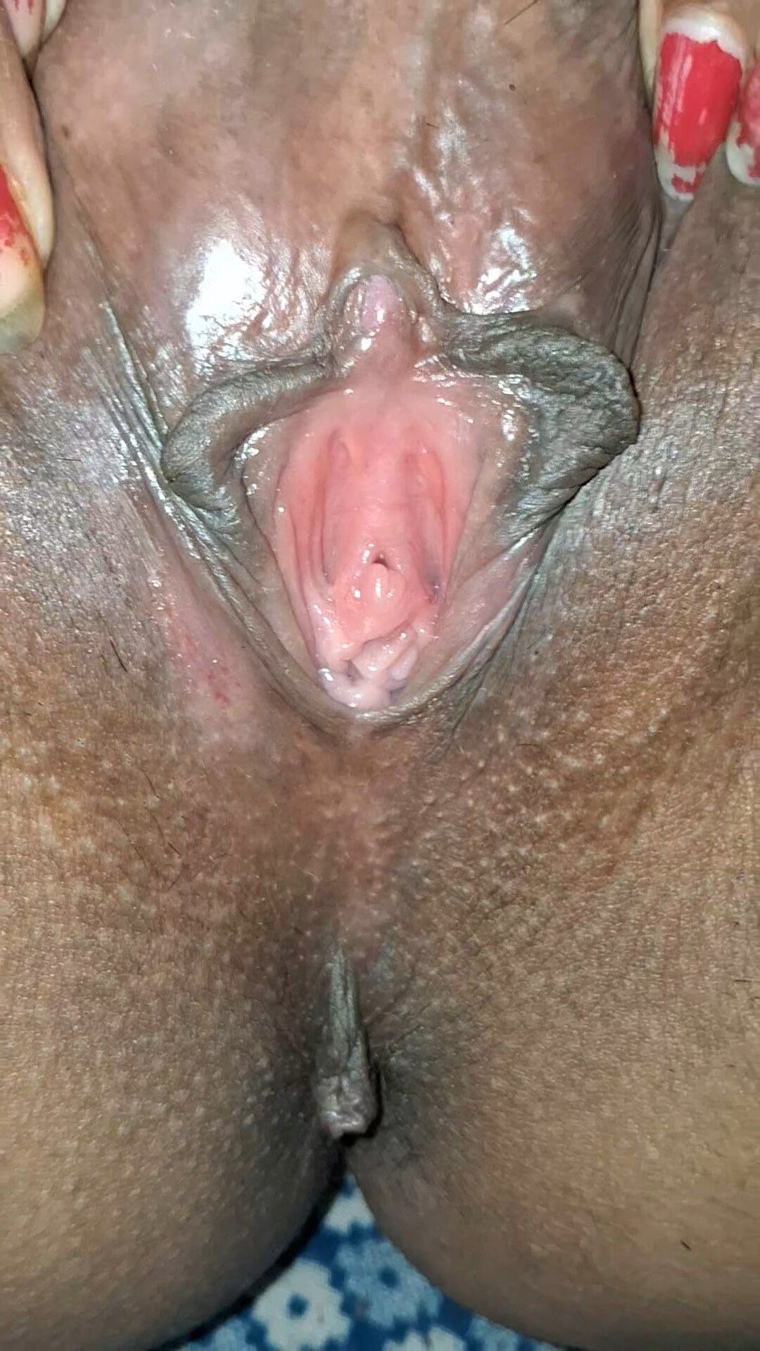 Pussy & Ass Hole #2