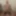 Mandatory weighing cagecheck January 25, 2024