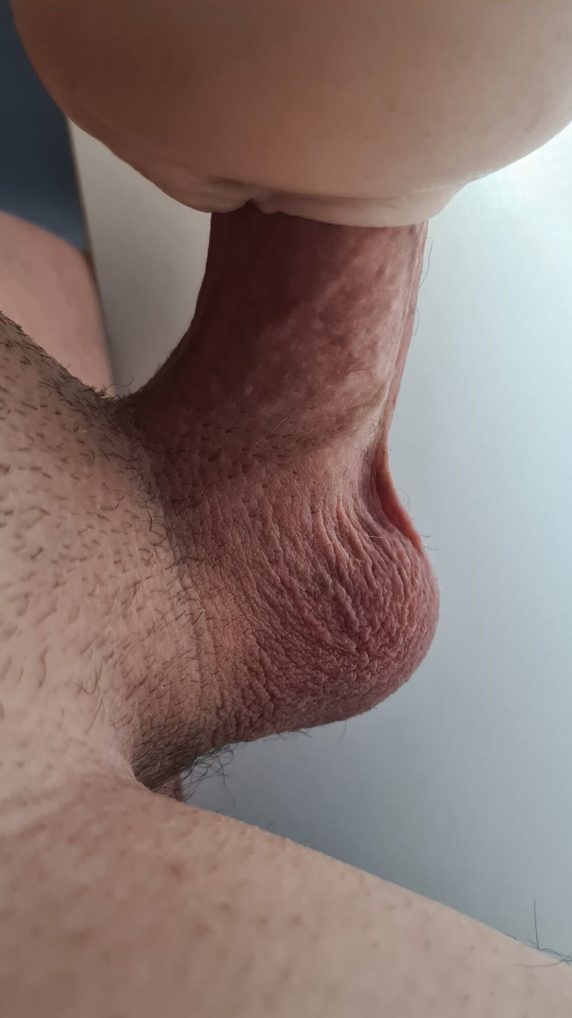 14cm of thick, virgin meat #10