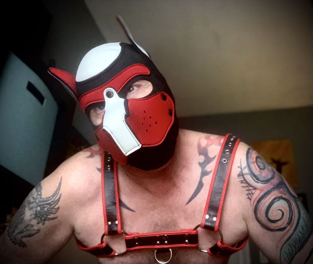 Sub pup yearning  for an Alpha #3