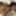 DeluxeDivas.com - Live Chat - Tamiry Chiavari #26