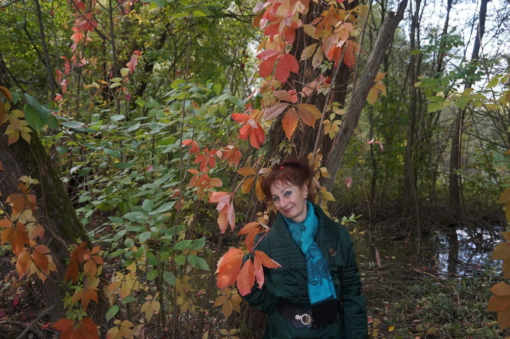 Autumn plot #21