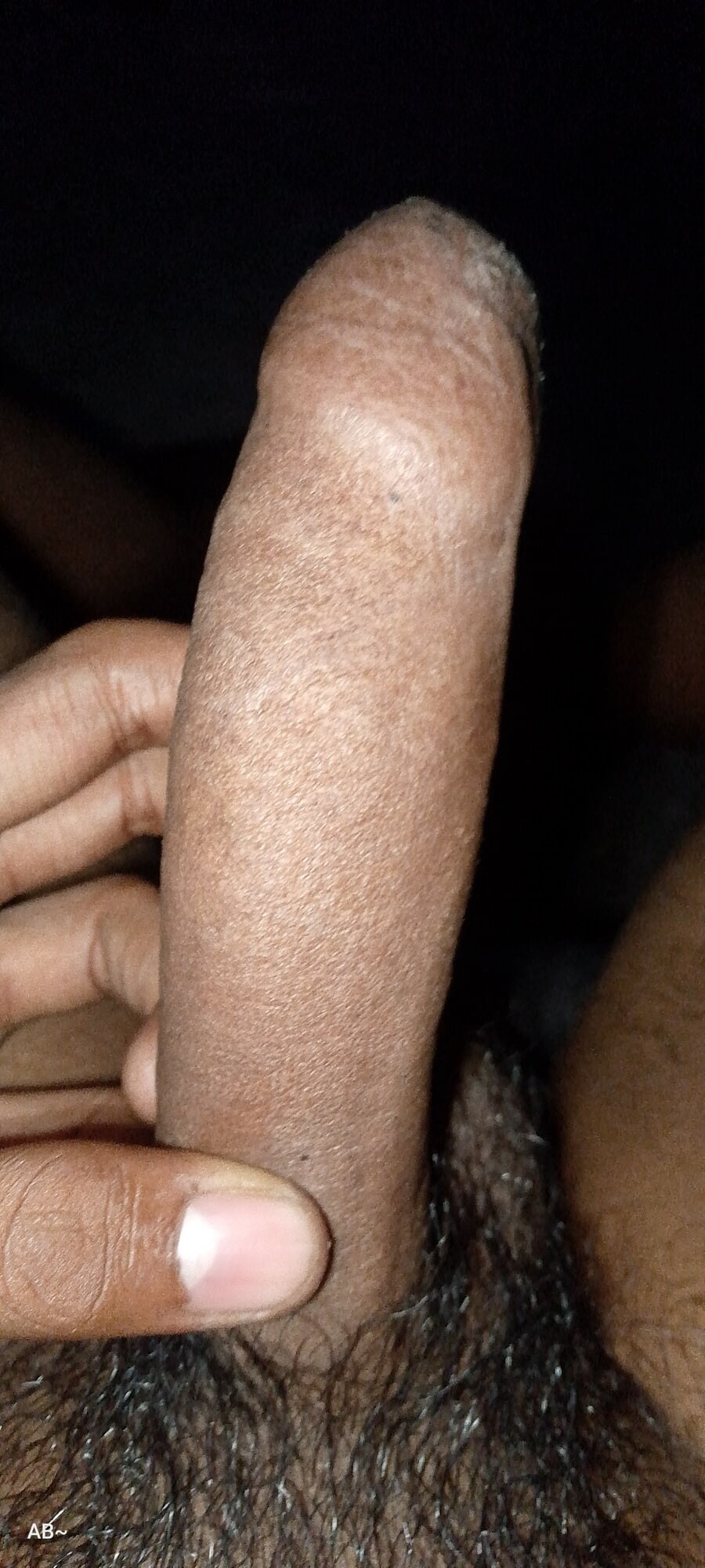 My Dick Gallery 