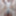 Compilation - My best Nudes without Erection - Part 03 #19