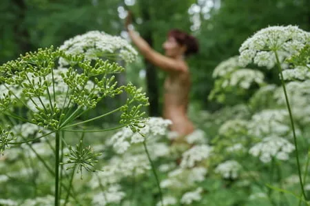 in white flowers           