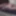 Eşcinsel ayı çıplak