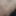 Dildo fag