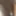Hard masturbating cock in front of the window  #5