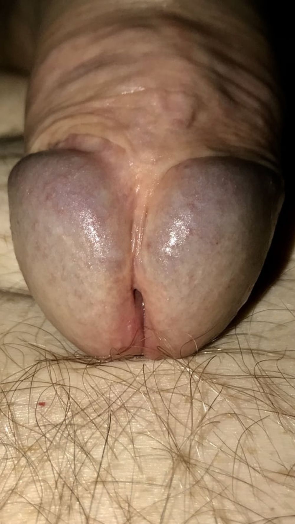 Big Cock Head #9