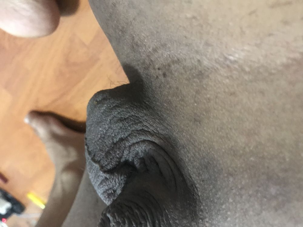 Chubby small dick amateur  #5