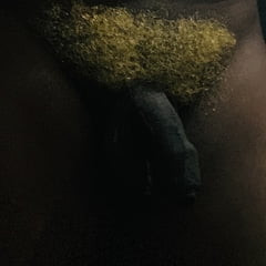 Yellow hairy