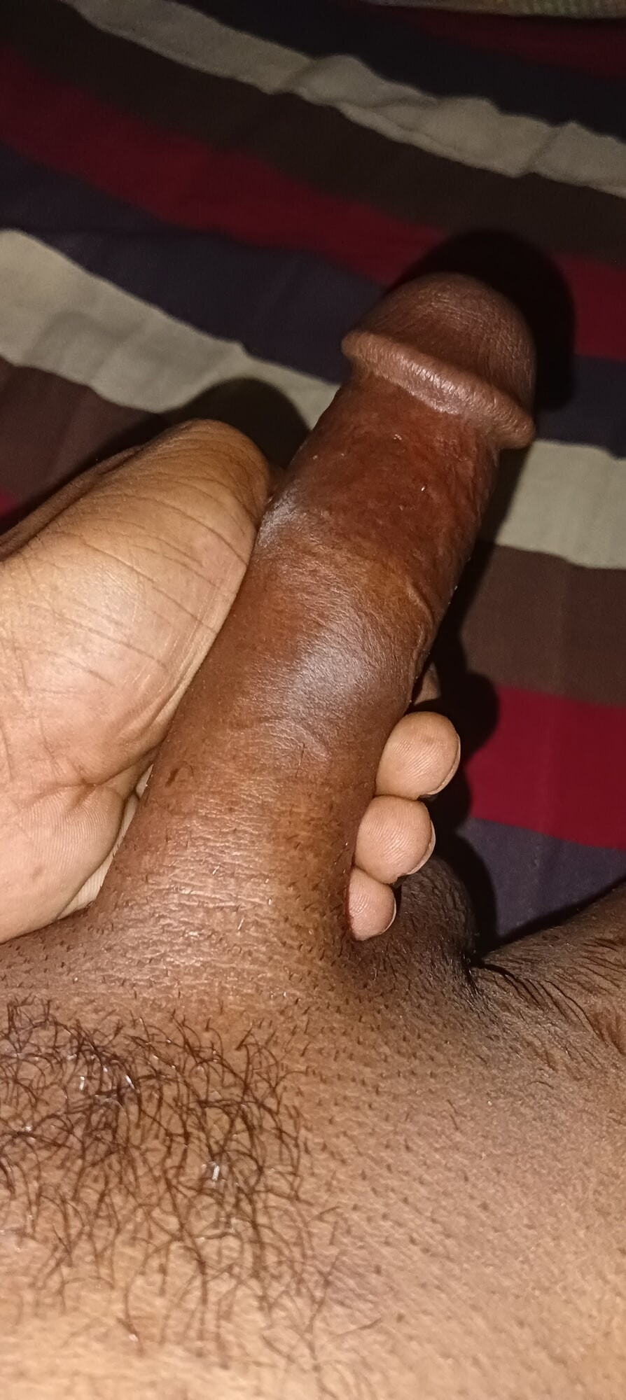 Desi lundd #12