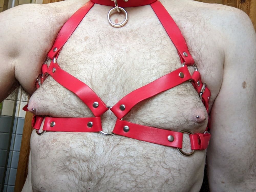 Boob harness #13