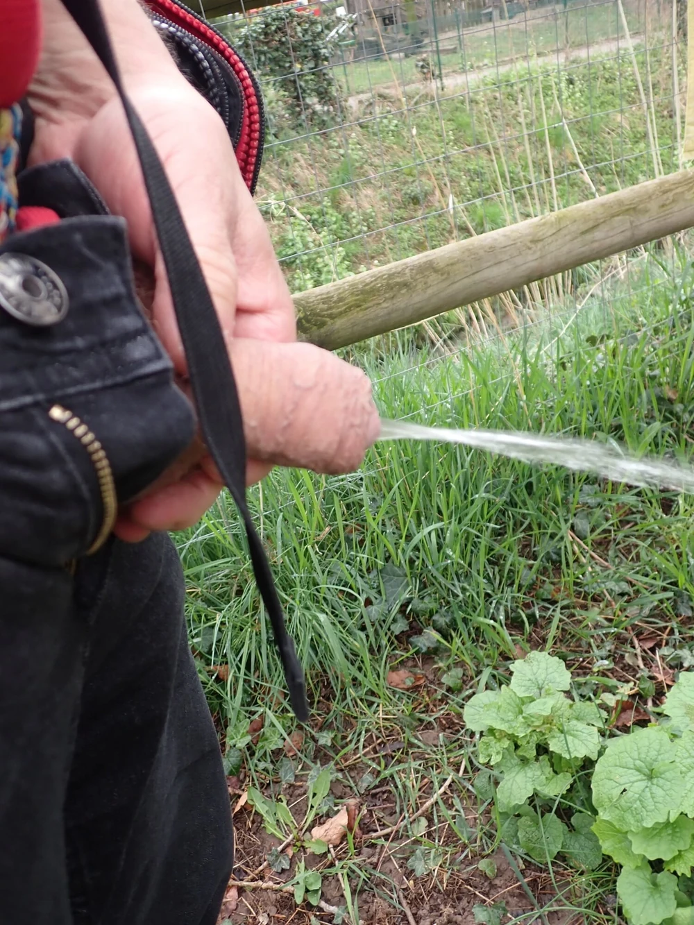 Pee outside #2