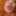 Rolereversal crossdressing pegging  and bisexual men