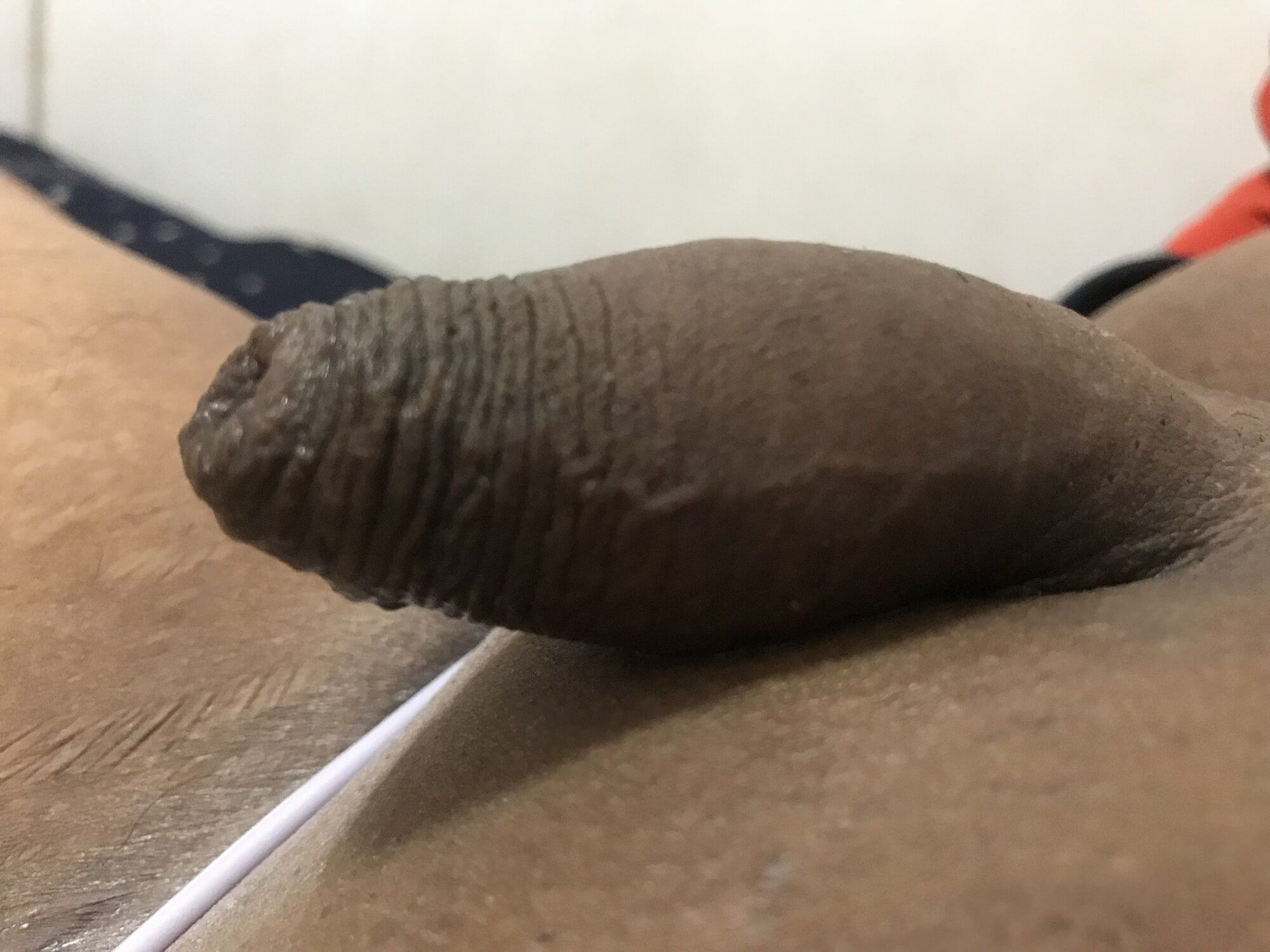 Dildo dubur amatur montel