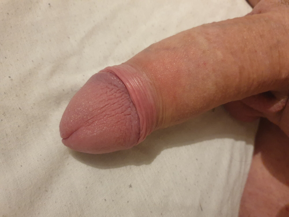 White cock #3