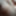 Schwanzpics #10