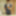 New Photo Collection  #2