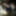 2020 pics