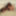 Unusual Award N.3 Girl Model&#039;s Record Pubic Hair Phenomena
