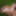 Gray-haired beauty posing naked outdoors on a blanket #32