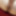 Wer will ficken  #14
