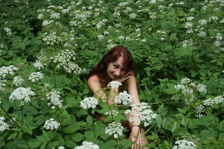 in white flowers           