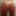 セクシーランジェリー