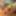 Chayote photo album