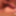 私のコック