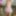 Day Porn Lays 01
