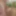 Amateur straight uncut guy heads to the woods for a cumshot #4
