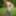 Sexy Redhead Strips Out Of jeans In Forest