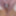 Naked Weighing, Cagecheck, Oktober 01, 2023 #10