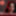 xHamster Creators Halloween Contest!