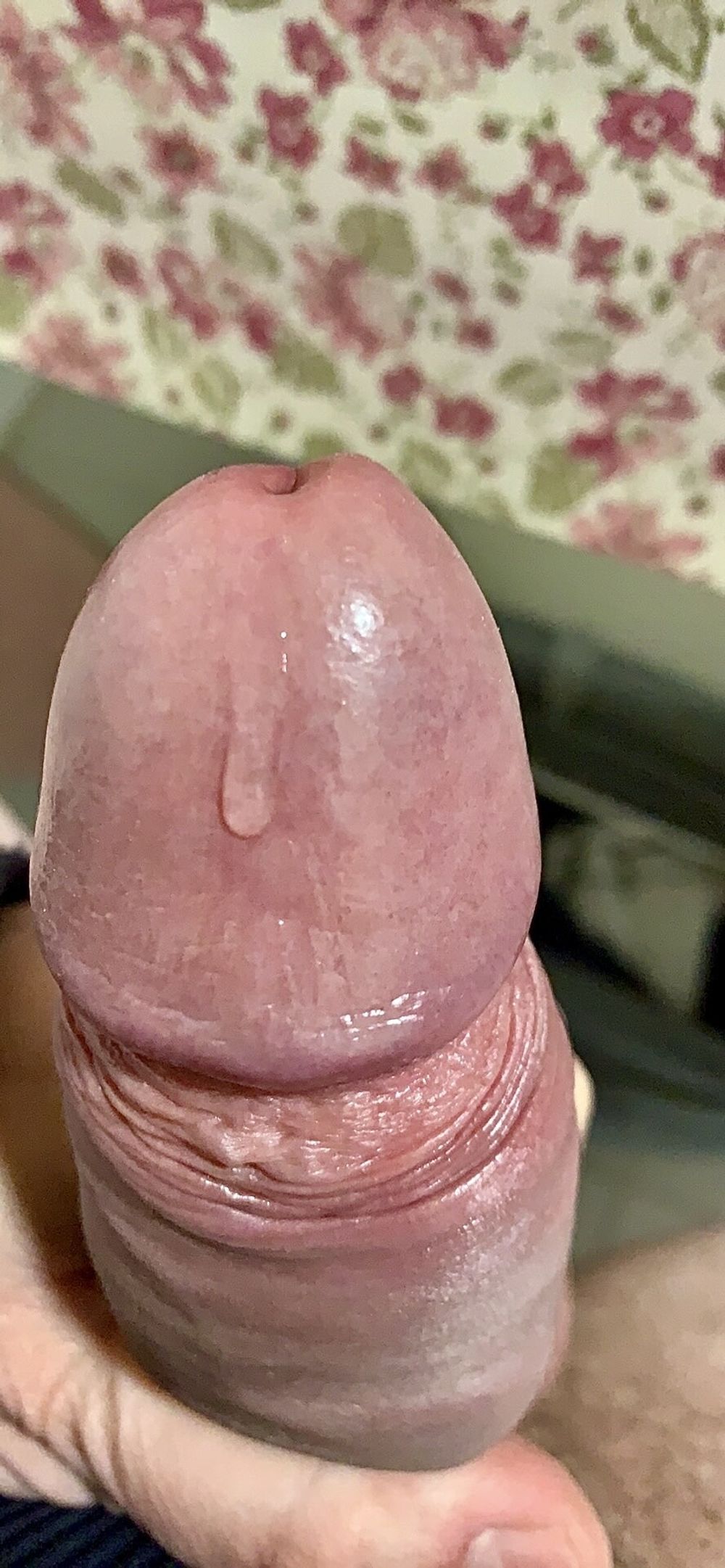 Fat Cock #15