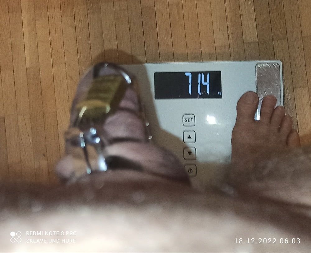 mandatory weighing and cagecheck of 18.12.2022 #8