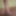 My Dick